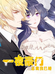 一夜豪門：總裁我已婚