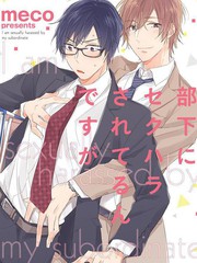 雖然我被部下騷擾了…（單行本版）